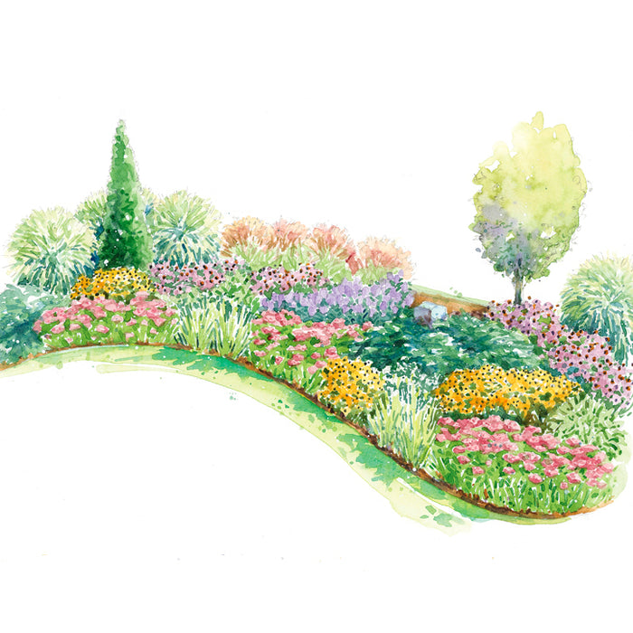 Beautiful Border in Clay Soil Garden Plan