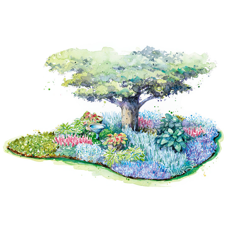 Tapestry Under a Tree | Landscaping Around Tree Roots