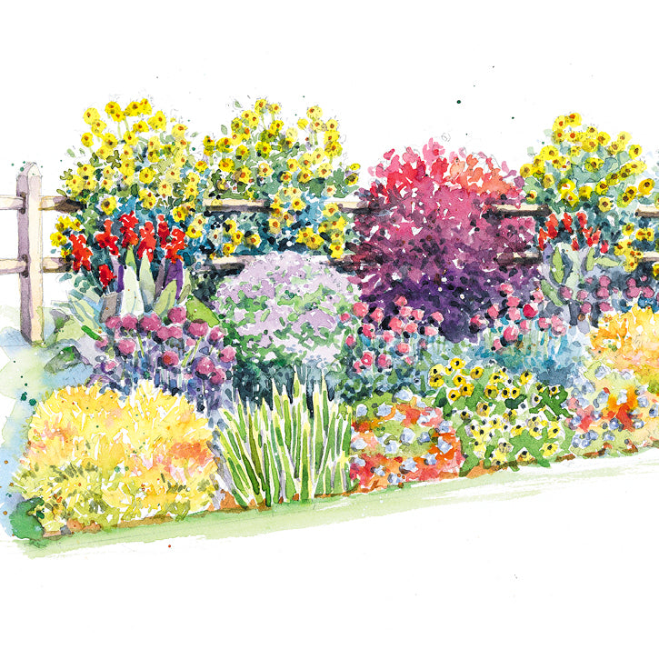 Colorful Late-Season Border Garden Plan