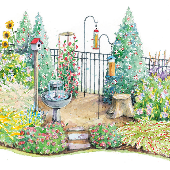 Easy-Care Backyard Border Garden Plan