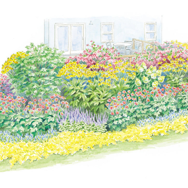 Surround a Deck with Color Garden Plan