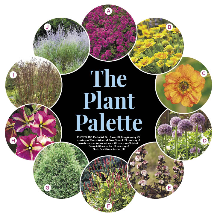 Colorful Patio Garden Plan