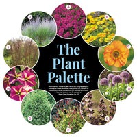 Colorful Patio Garden Plan