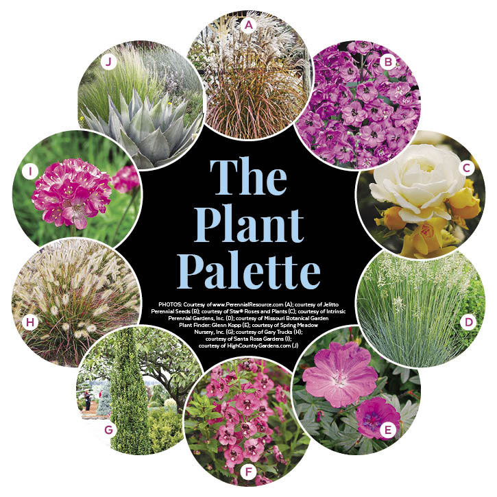 Inviting Patio Garden Plan