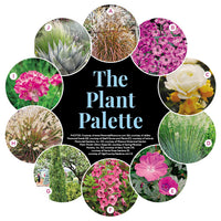 Inviting Patio Garden Plan