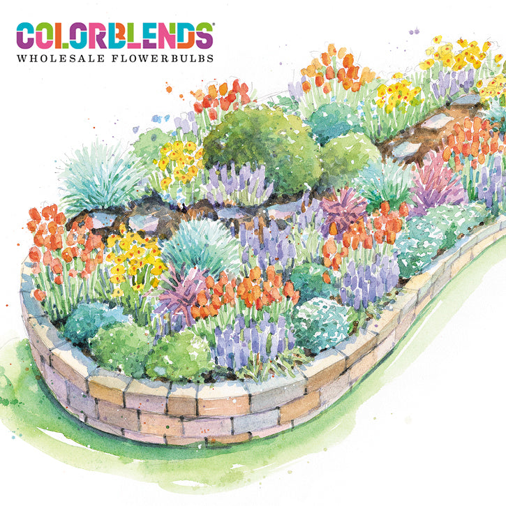 Spring Bulb Garden Plans