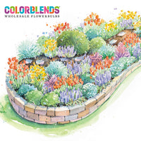 Bold Spring Color Garden Plan
