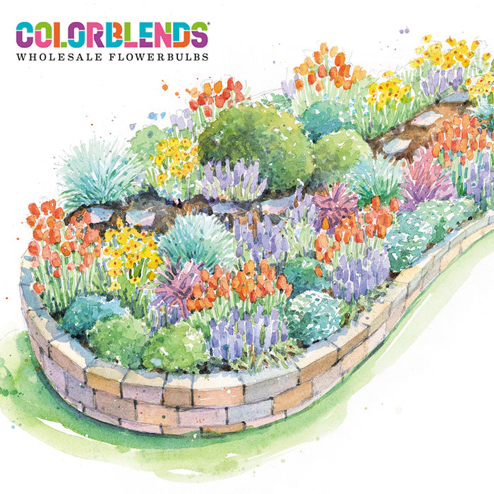 Bold Spring Color Garden Plan