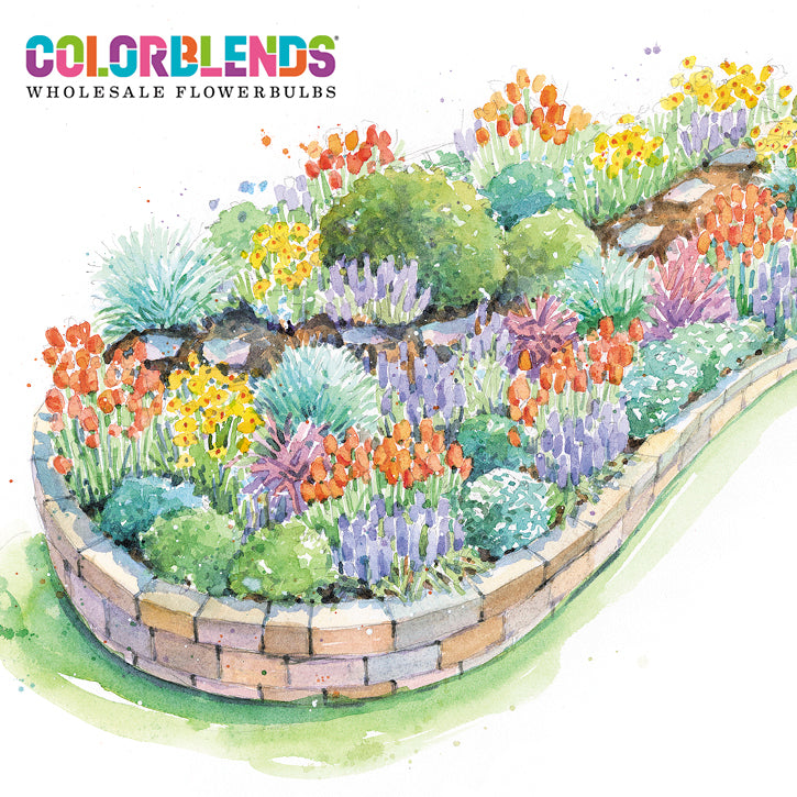Bold Spring Color Garden Plan