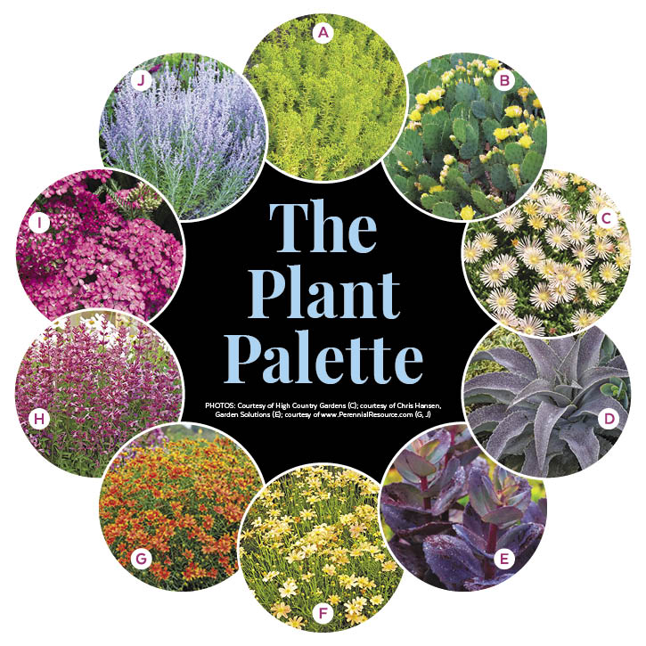 Surround Your Sidewalk with Color Garden Plan