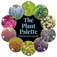 Surround Your Sidewalk with Color Garden Plan
