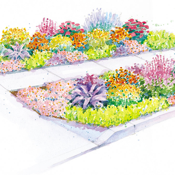 Surround Your Sidewalk with Color Garden Plan