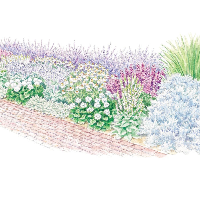 Drought-Tolerant Border Garden Plan