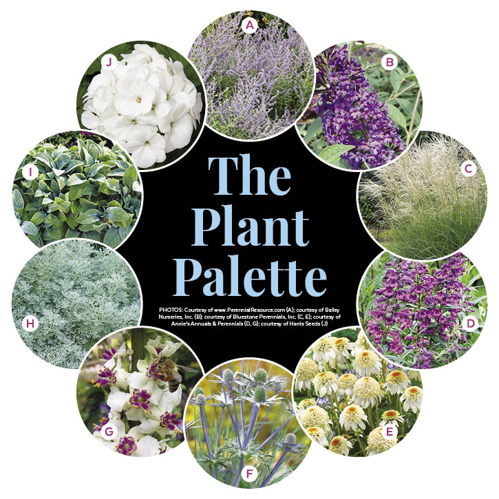 Drought-Tolerant Border Garden Plan