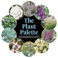 Drought-Tolerant Border Garden Plan
