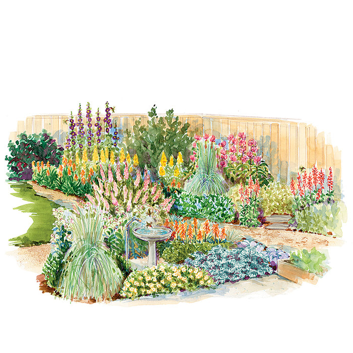 Hummingbird Garden Plan
