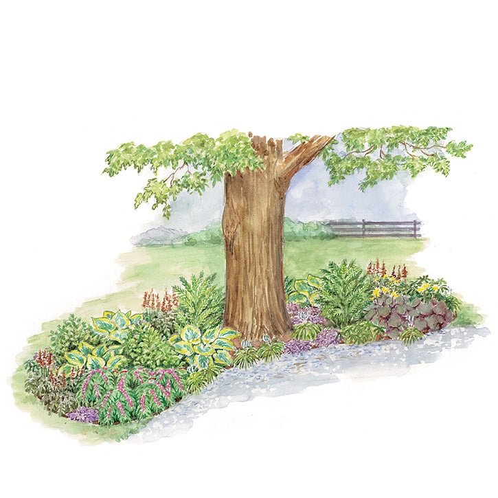 Island Beneath a Tree Garden Plan