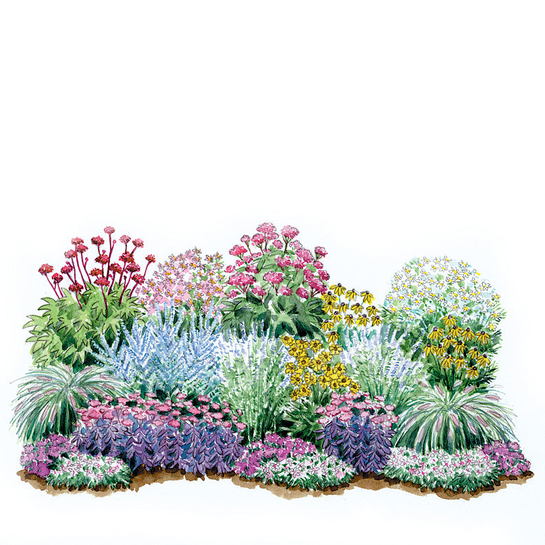 Late Summer Garden Plan