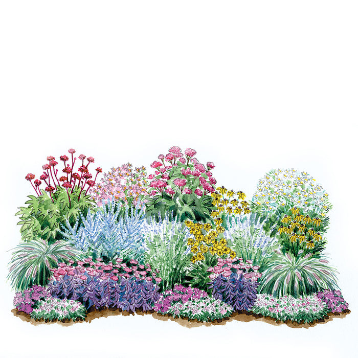 Late Summer Garden Plan
