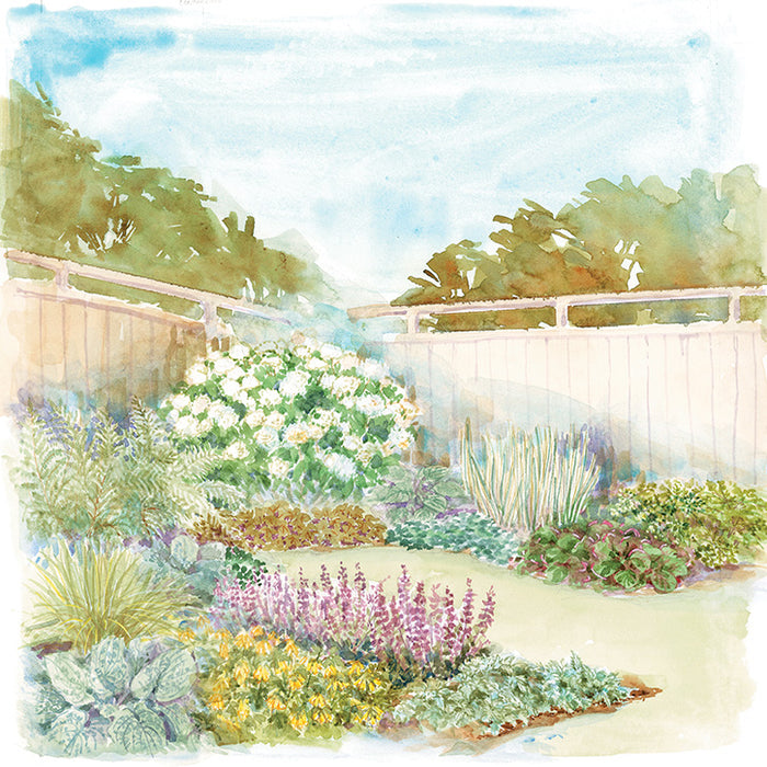 Backyard Border Garden Plan