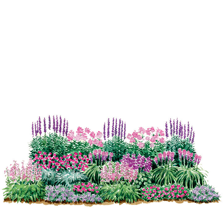 Pink and Purple Border Garden Plan