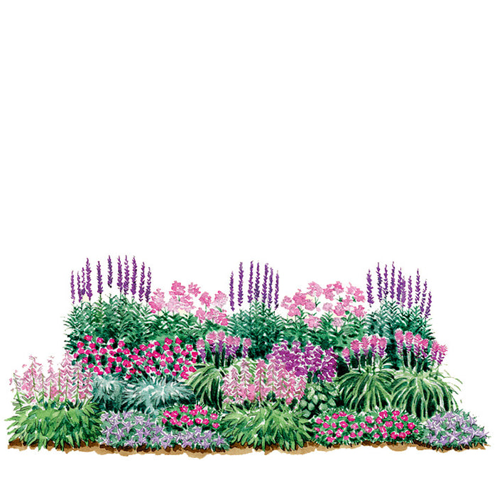 Pink and Purple Border Garden Plan