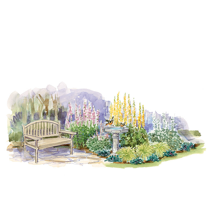 Restful Shade Garden Plan
