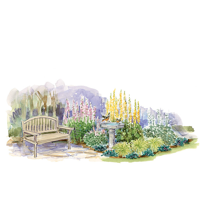 Restful Shade Garden Plan