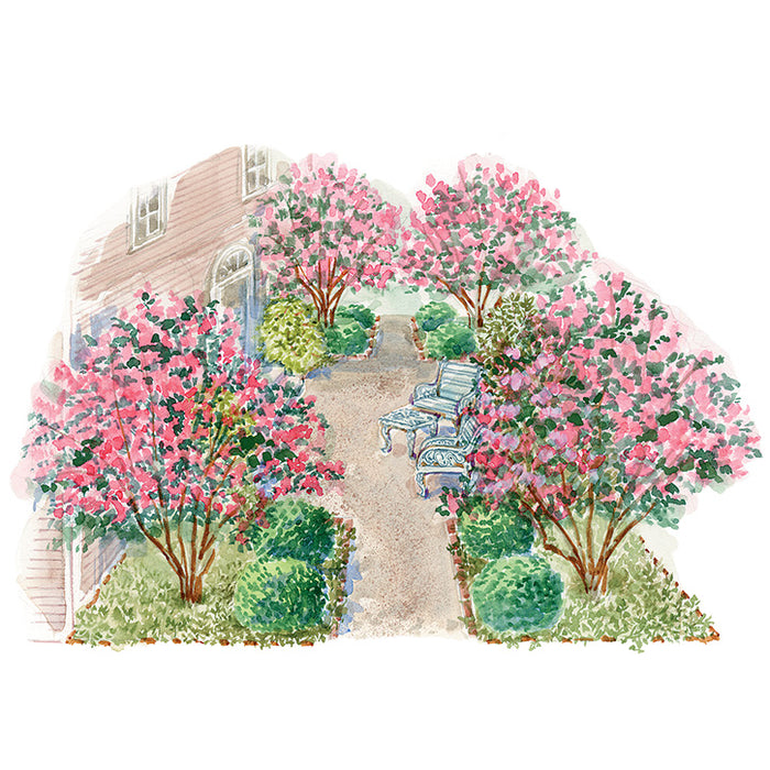 Southern Courtyard Garden Plan