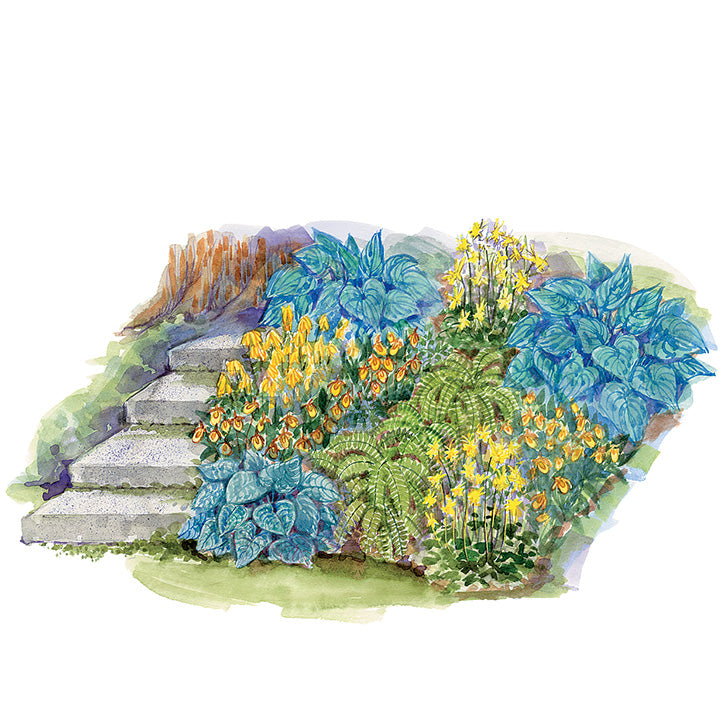 A Spot of Shade Garden Plan