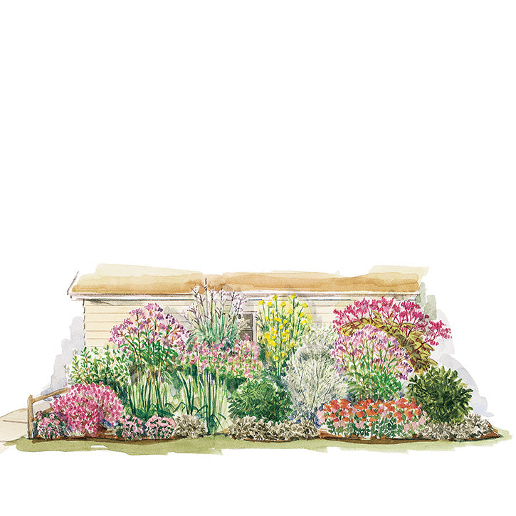 Tall Screen Garden Plan