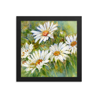 Shasta Daisy Illustration Framed Print
