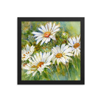 Shasta Daisy Illustration Framed Print