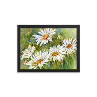 Shasta Daisy Illustration Framed Print