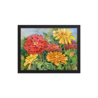 Zinnia Illustration Framed Print