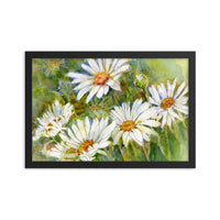 Shasta Daisy Illustration Framed Print