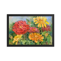 Zinnia Illustration Framed Print