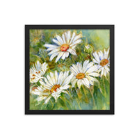 Shasta Daisy Illustration Framed Print