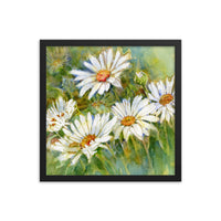 Shasta Daisy Illustration Framed Print