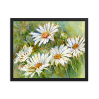 Shasta Daisy Illustration Framed Print