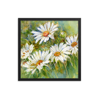 Shasta Daisy Illustration Framed Print