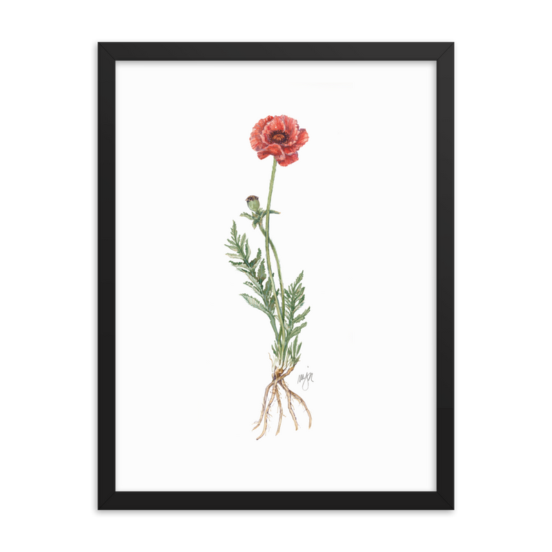 Coneflower Botanical Print with Magnetic Wooden Hangers