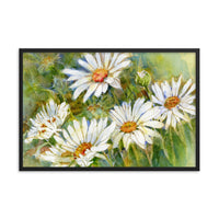 Shasta Daisy Illustration Framed Print
