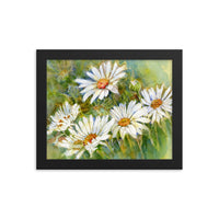 Shasta Daisy Illustration Framed Print