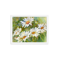 Shasta Daisy Illustration Framed Print