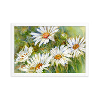 Shasta Daisy Illustration Framed Print