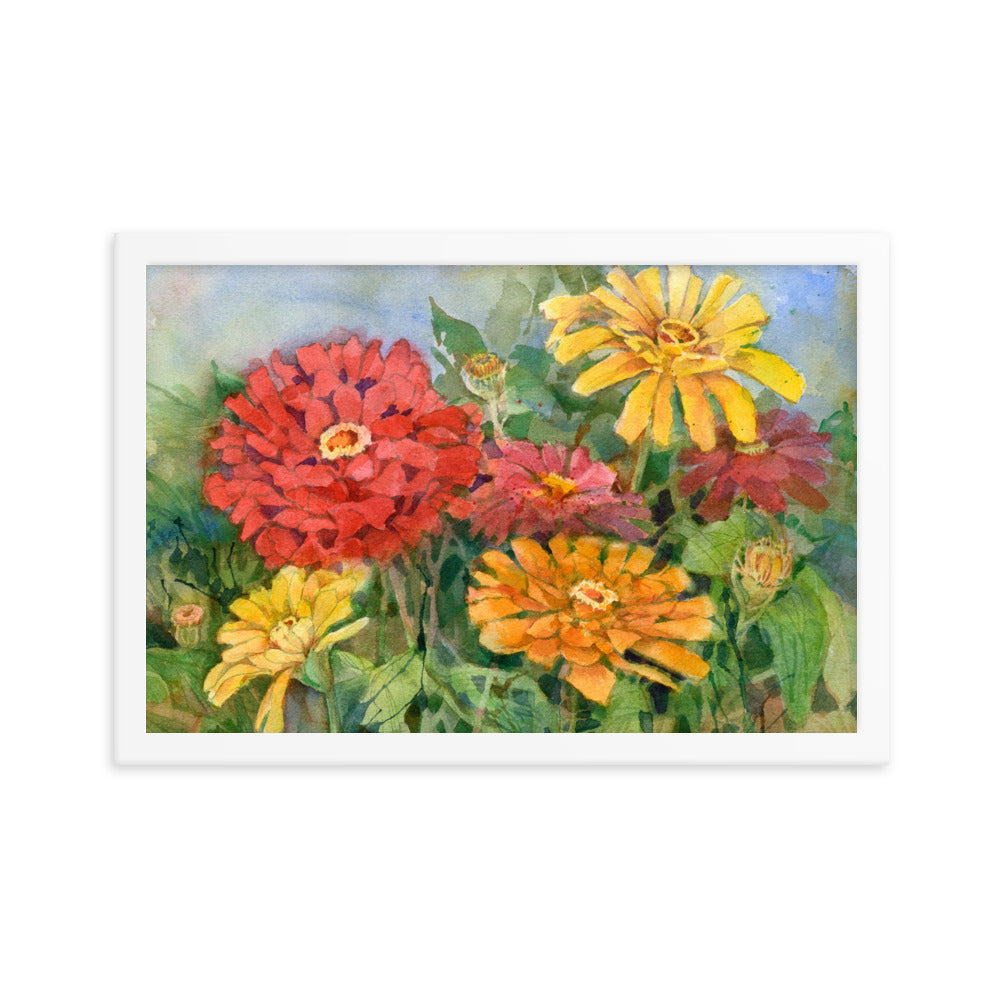 Zinnia Illustration Framed Print