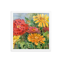 Zinnia Illustration Framed Print