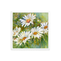 Shasta Daisy Illustration Framed Print