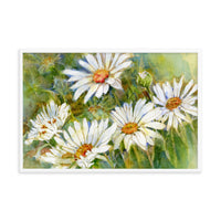 Shasta Daisy Illustration Framed Print